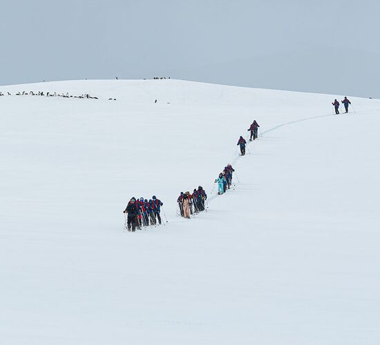 Schneeschuh Wanderung © snowshoeing